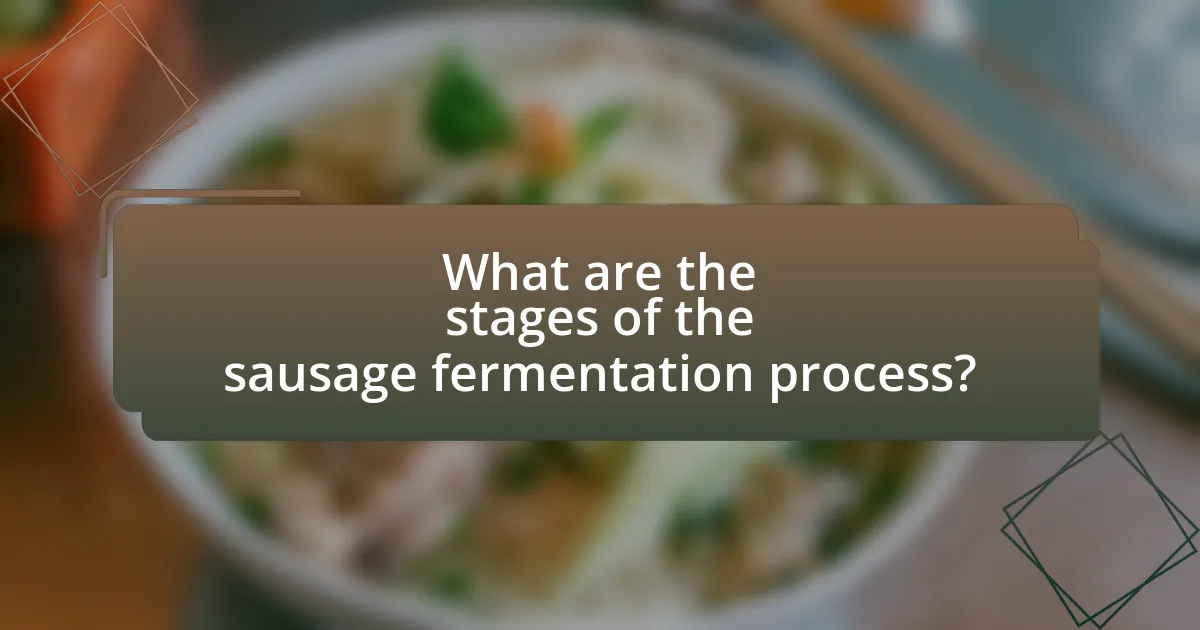 What are the stages of the sausage fermentation process?