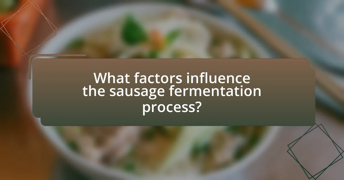What factors influence the sausage fermentation process?