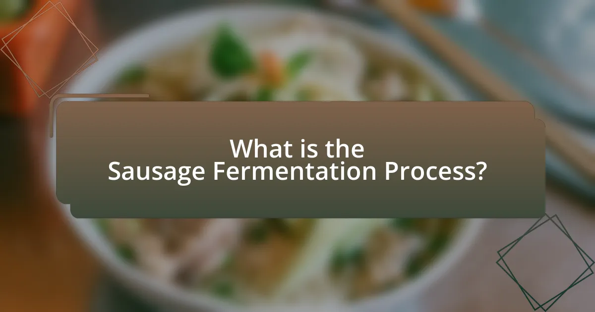 What is the Sausage Fermentation Process?